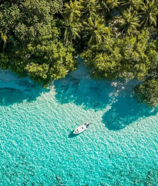 Andaman Package from Bangalore by Flight