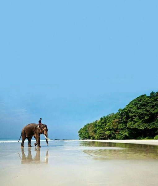 Andaman Trip Package from Bangalore