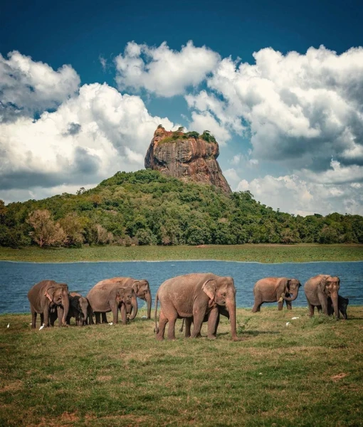 Srilanka Package from Bangalore